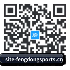 系统版 Android 二维码
